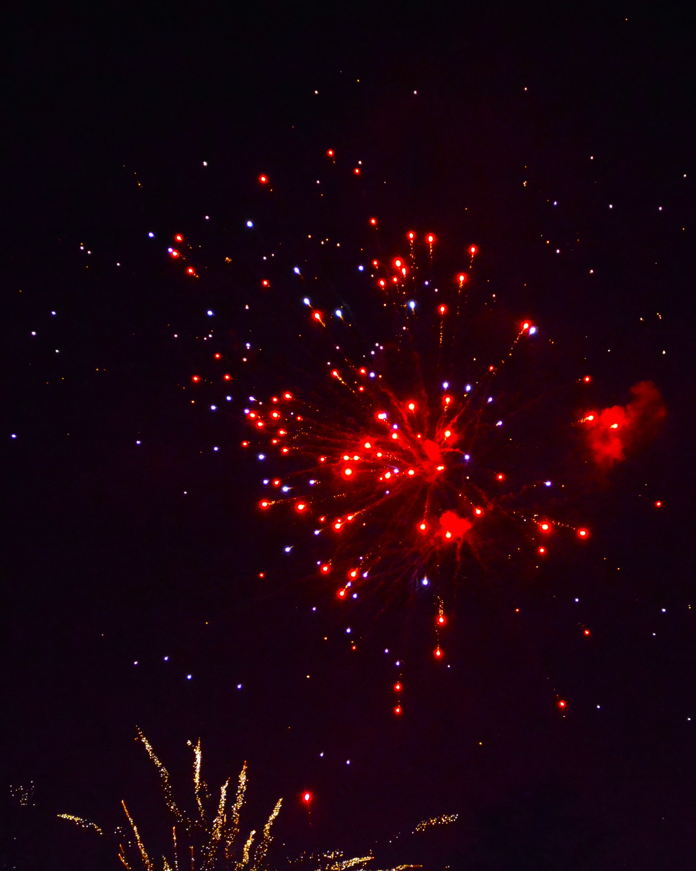 December Results and Year End Summary