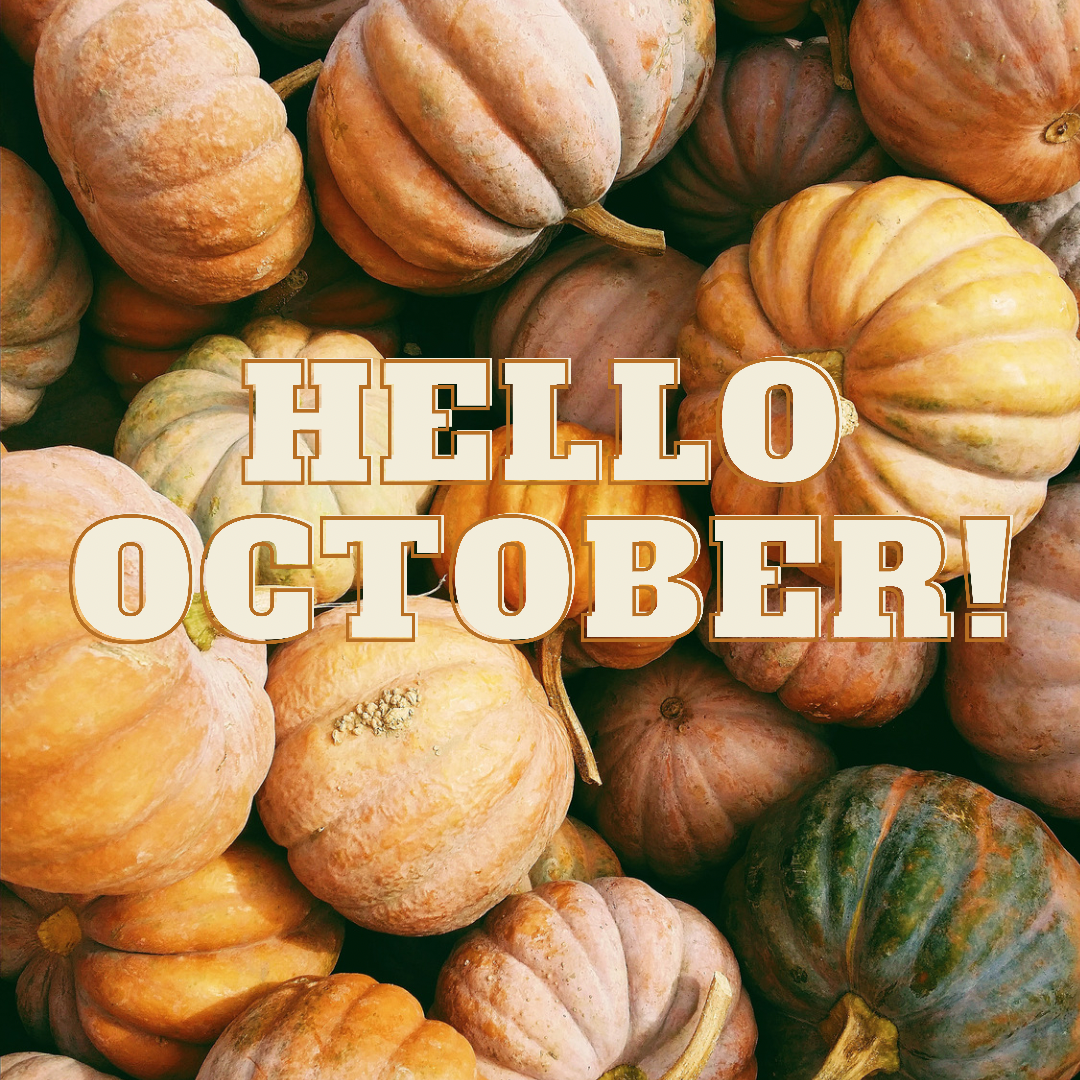 September Results and October Goals