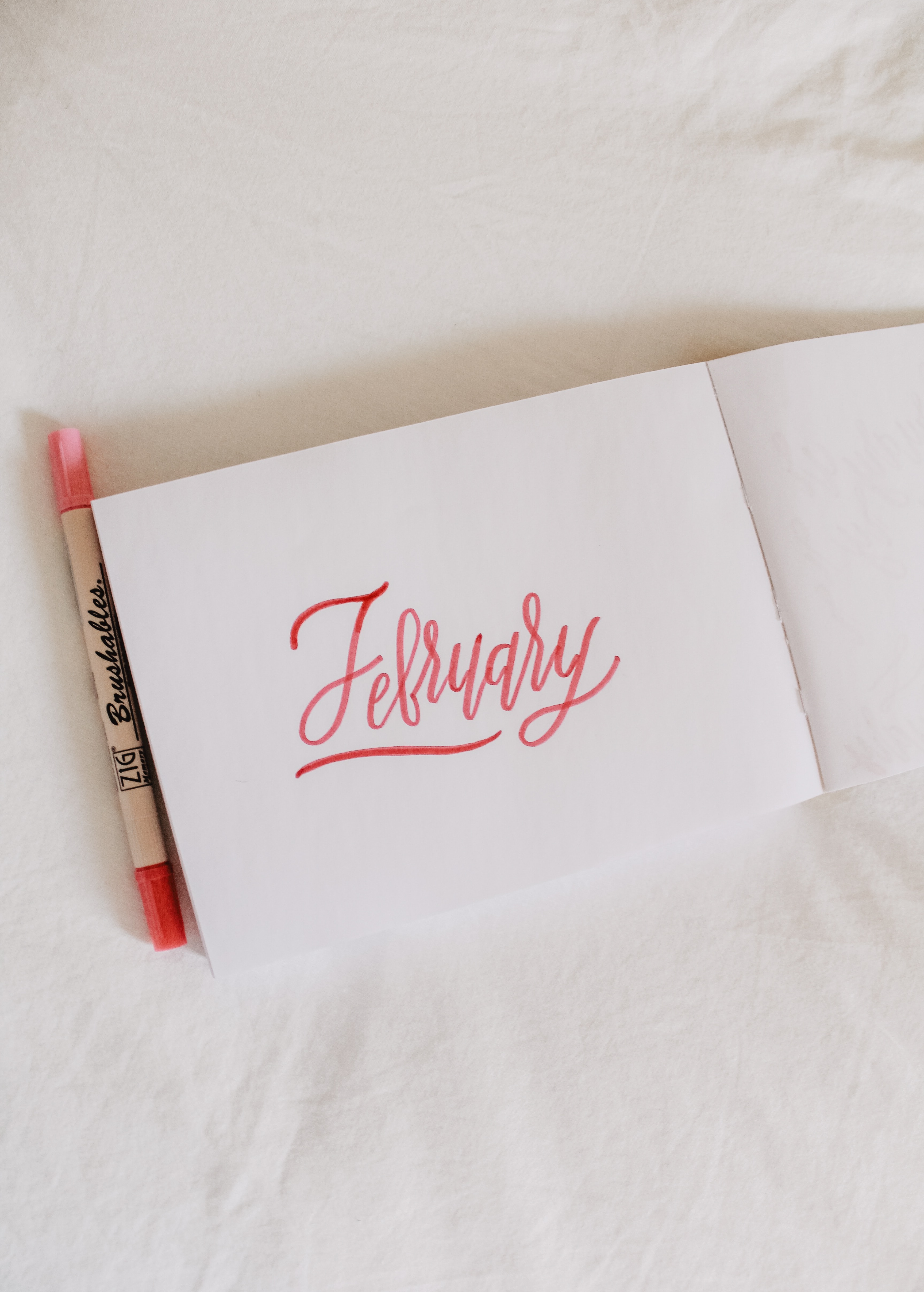 January Results and February Goals