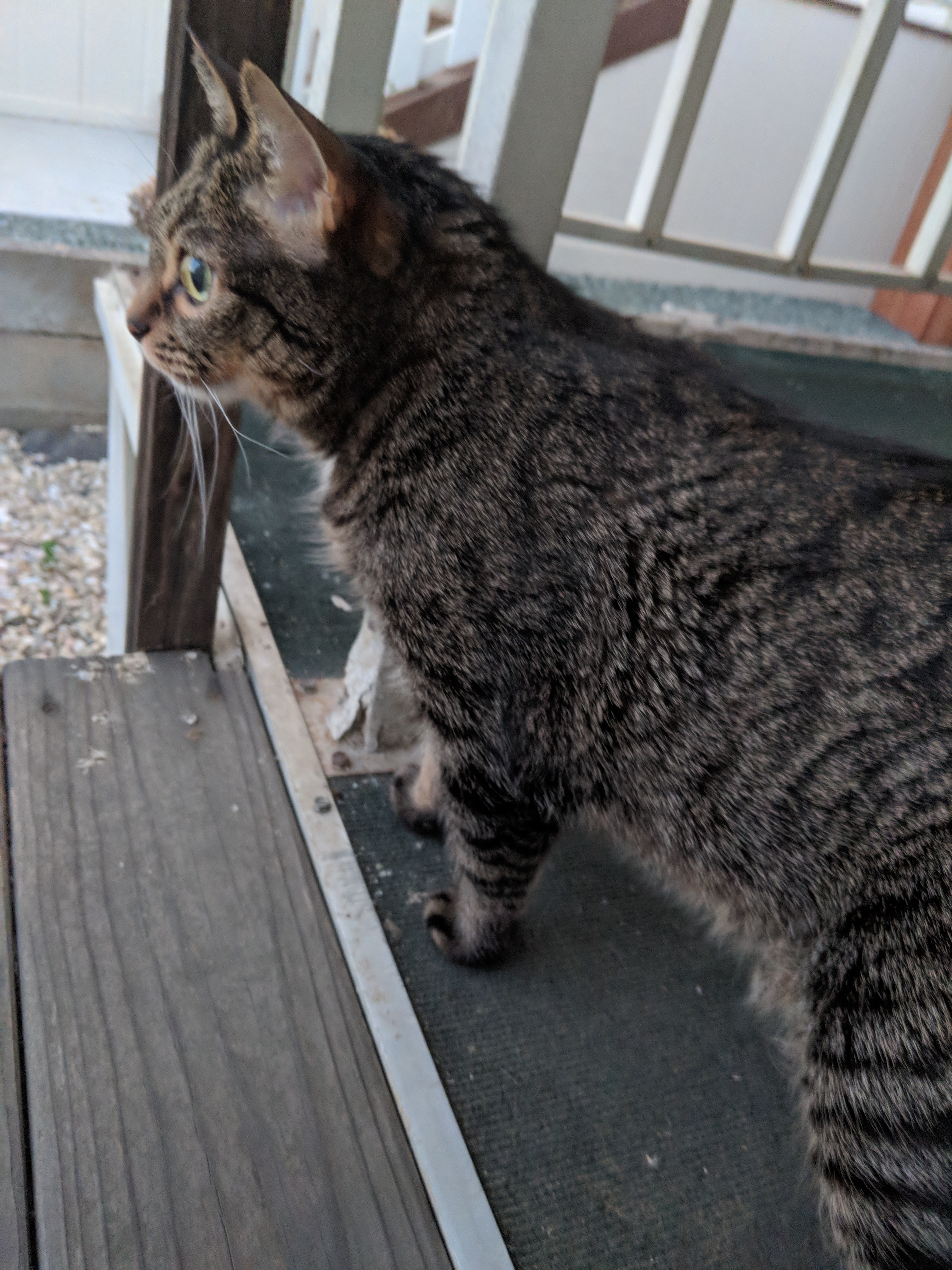 Wednesday Works: To all the Angels