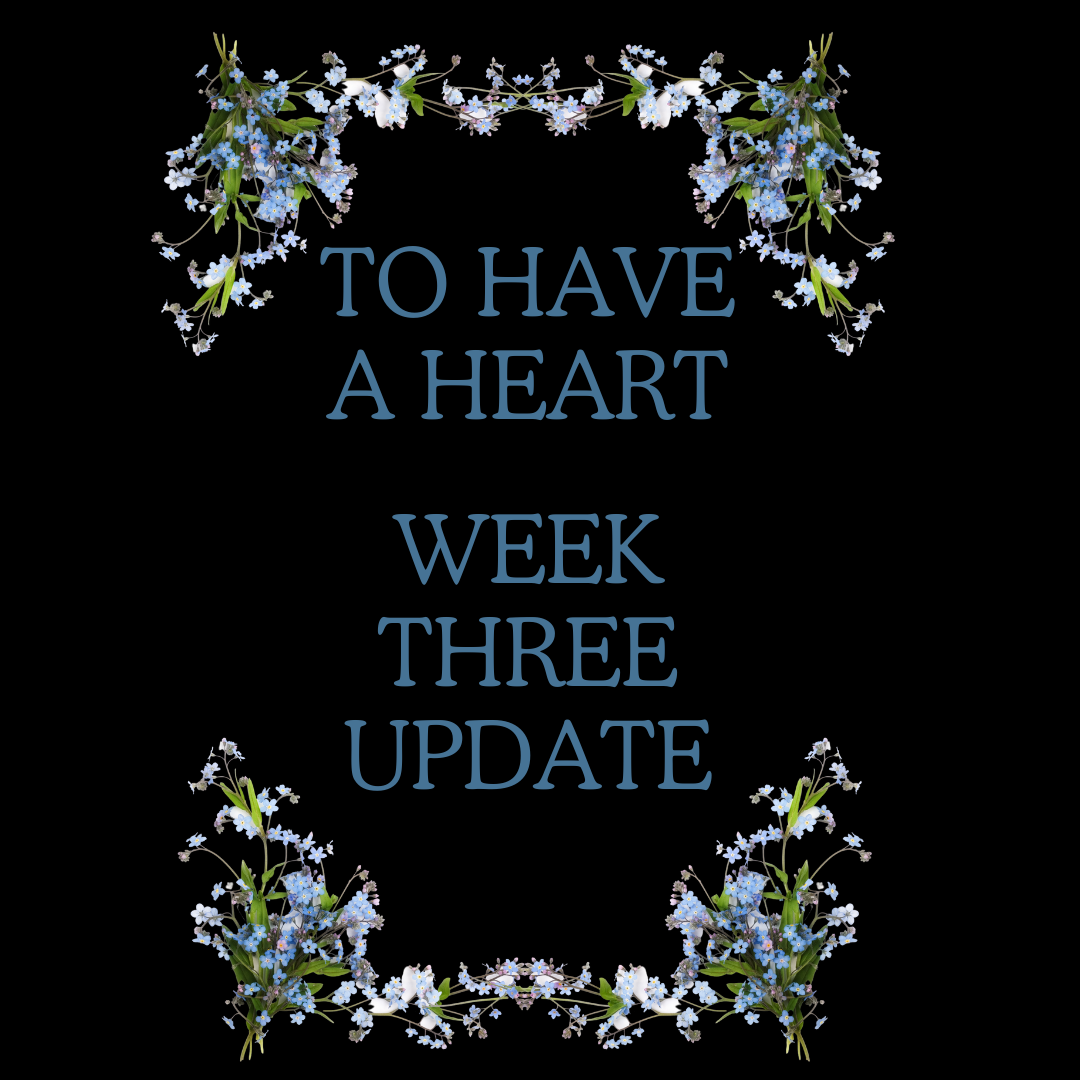 What I’ve Learned and Week Three Updates